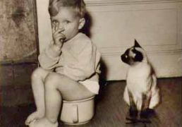 Minouche – Dr. med. Andrea Bernhard